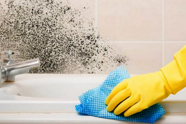Как избавиться от плесени в ванной: эффективный метод, проверенный годами