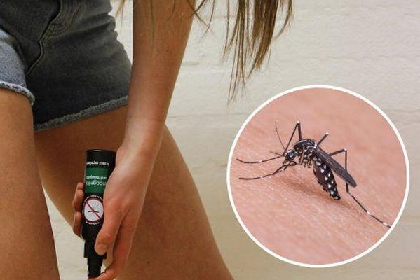 Народные средства от комаров на природе и дома, которые работают лучше всего