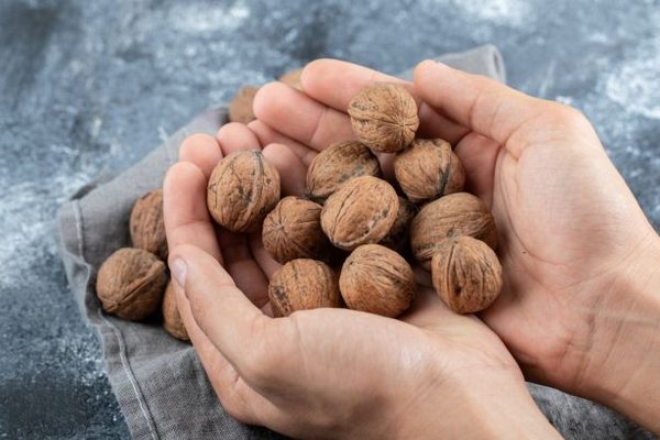 Эти способы помогут правильно хранить грецкие орехи: не будут появляться вредители
