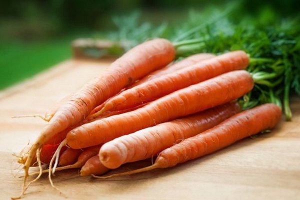 Названы веские причины чаще есть морковь