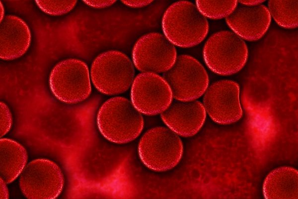 Каким заболеваниям подвержены обладатели разных групп крови