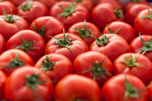 Ученые рассказали о неожиданной пользе помидоров