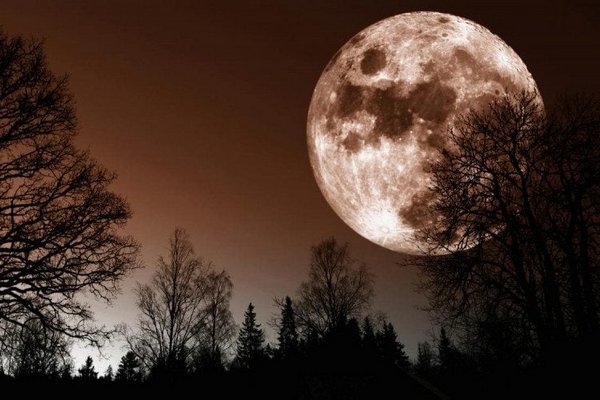 Лунный календарь благоприятных дней в 2023 году