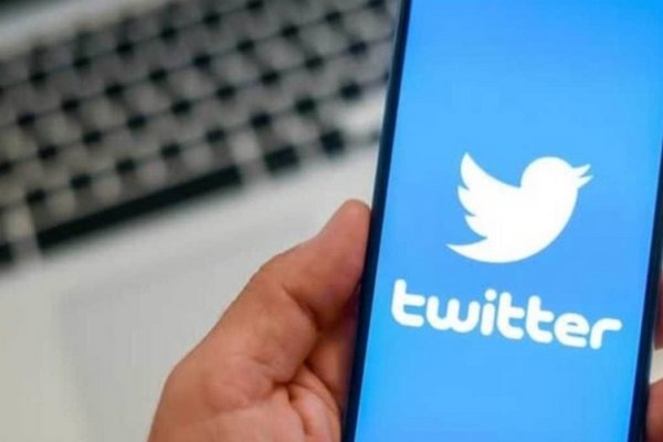 Владельцы платной подписки Twitter смогут голосовать за изменения в компании