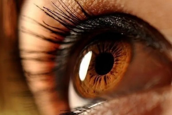 Ученые рассказали, от чего чаще страдают люди с карими глазами