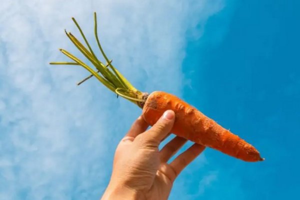 Как сварить морковь на салат за 5 минут: хитрый трюк от сообразительных хозяек