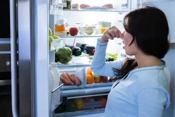 Вонь из холодильника исчезнет за считанные часы: топ-3 натуральных поглотителя запахов