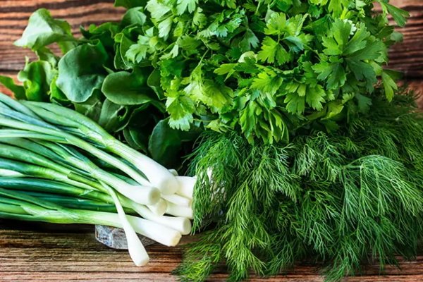 Как сохранить зелень свежей надолго: простые способы опытных кулинаров