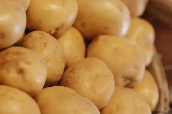 Неожиданная польза: чем порадует молодой картофель