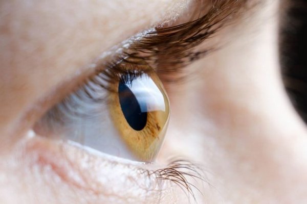 7 мифов об астигматизме – самой частой причине ухудшения зрения на планете