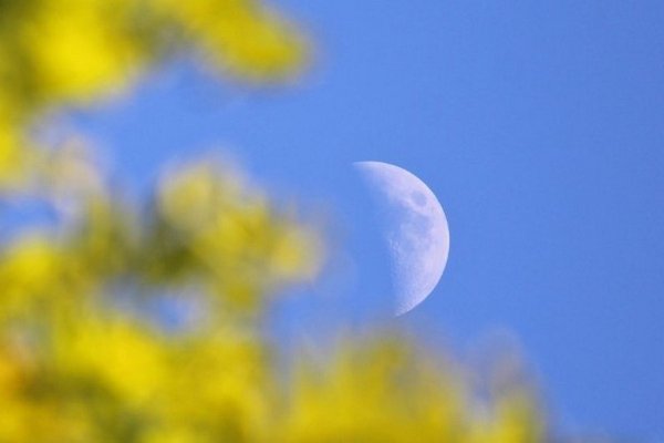 Что ждет нас в период убывающей Луны с 5 по 18 июня: прогноз известного астролога