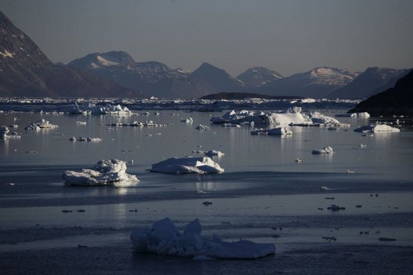 Жаркий июль растопил Гренландский ледяной щит и нагрел океаны до рекордного уровня