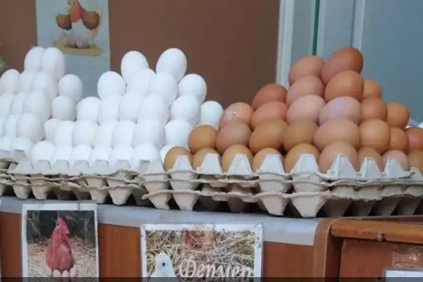 Как выбрать хорошие яйца: на что обратить внимание