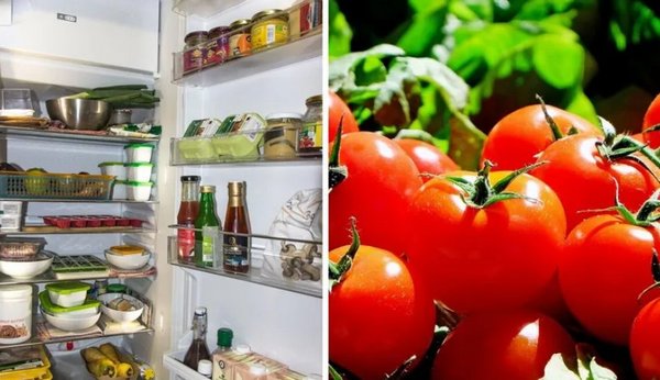 Почему помидоры нельзя хранить в холодильнике: неожиданное объяснение