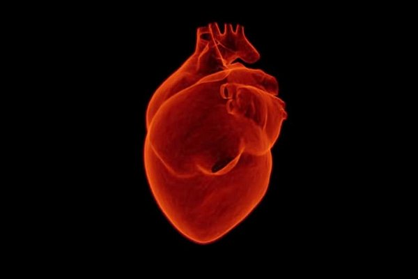 Ученые выяснили, какие добавки помогают уберечься от сердечно-сосудистых заболеваний
