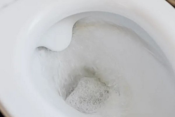 Как легко устранить засор в туалете: пять проверенных способов