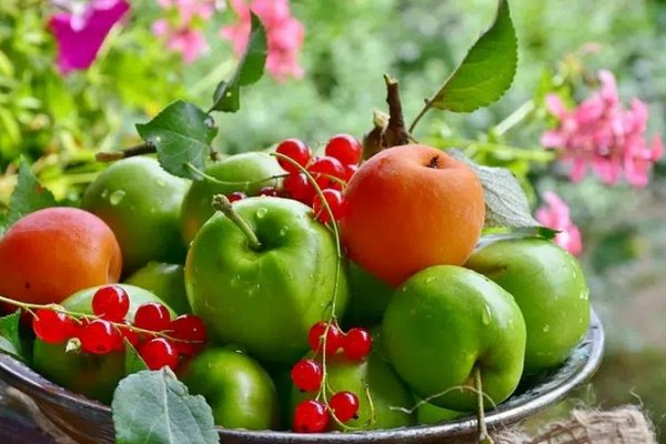 Какие фрукты и ягоды могут улучшить настроение