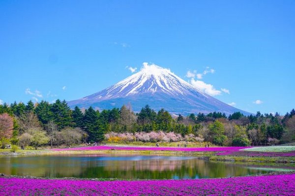 В Японии вводят плату за посещение знаменитой локации: причины