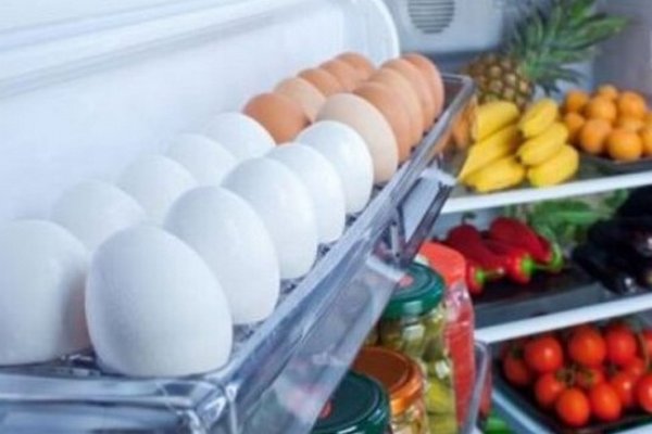 Этот совет поможет многим: как починить уплотнитель на дверце холодильника, не вызывая мастера
