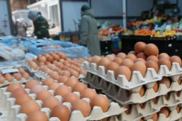 В Украине дешевеют яйца: какие цены прогнозируют в ближайшее время