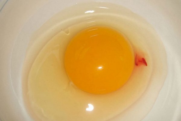 Насколько опасны красные и коричневые точки в курином яйце: для многих это будет открытием