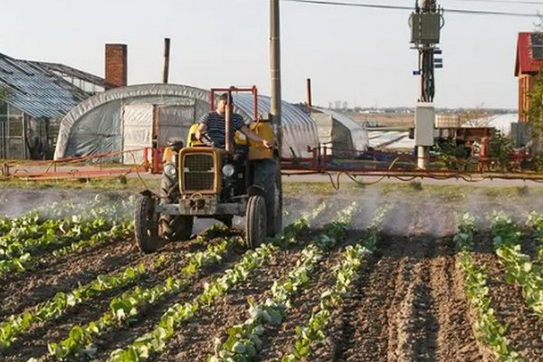 Лунный календарь посадки растений: названы дни, когда можно сажать что-то на огороде, а когда нет