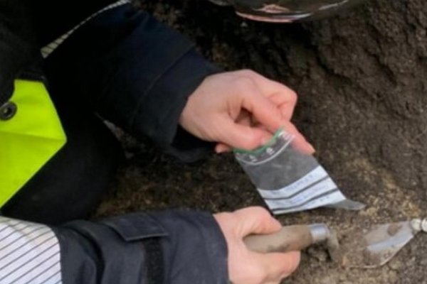 Монету хотят продать в 10 млн раз дороже номинала: коалиционеры готовы грызть землю