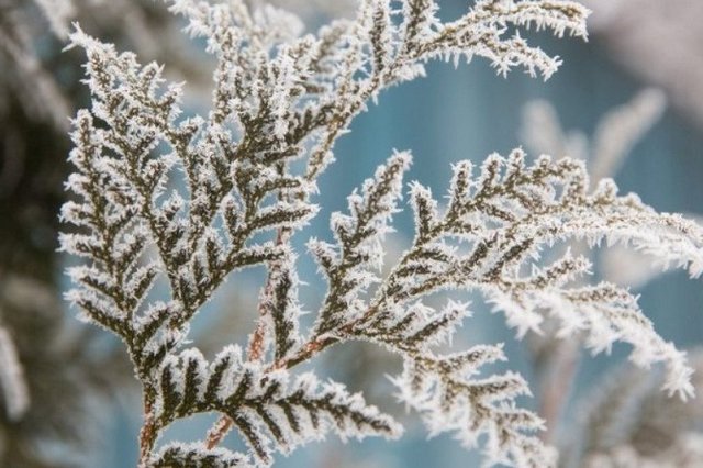 Почему сегодня нельзя впускать в дом незнакомцев: запреты дня