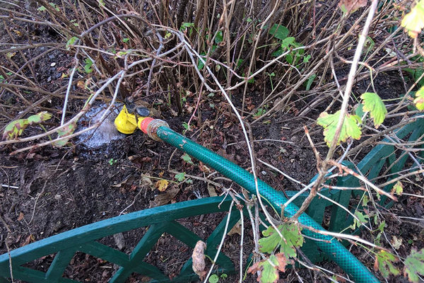 Мульчирование после полива: как торф и перегной защищают корни плодовых деревьев