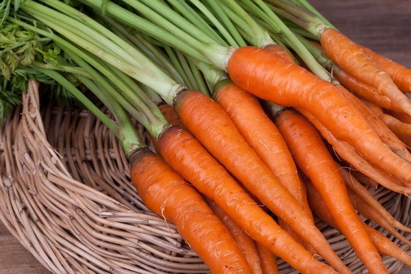 Почему нельзя мыть морковь перед хранением? Секреты свежести на всю зиму