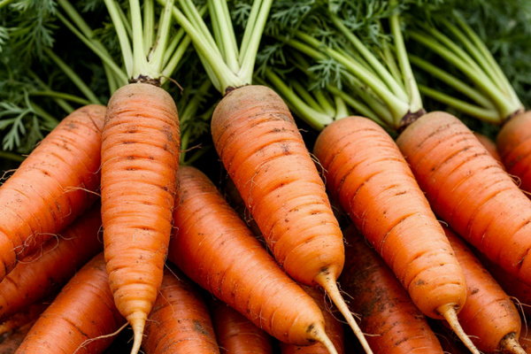 Обрезка и изоляция: Как предотвратить сморщивание моркови и потерю влаги