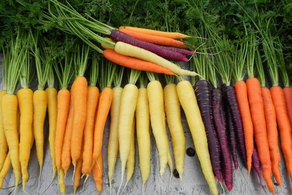 Осторожно, «сладкое» название: Почему правильный выбор семян — главное правило садовода