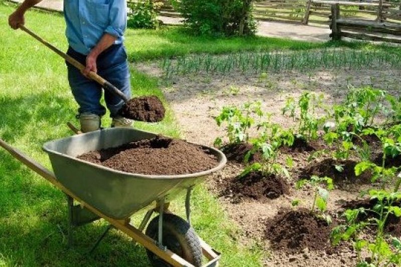 Можно ли для удобрения садов использовать фекалии