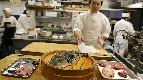 рыба фугу приготовление