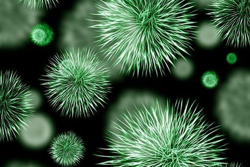 Ученые научат бактерии искать взрывчатку