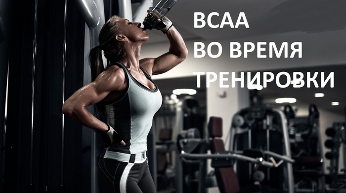 BCAA – польза аминокислот в спортивных тренировках