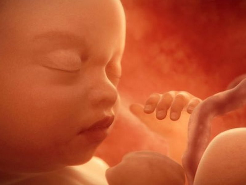 Знаете ли вы, что неродившийся ребенок уже видит?