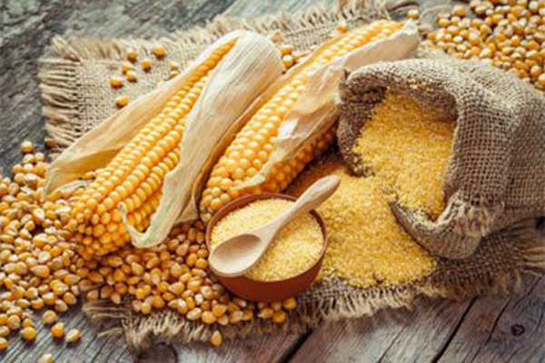 Как варить кукурузную кашу: рецепт