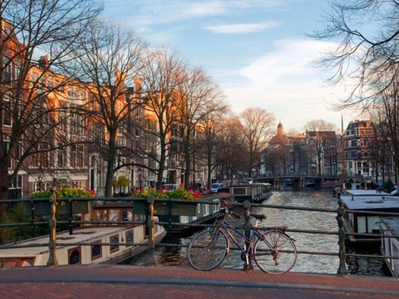 Запрет каннабиса в Амстердаме: глава города сделала заявление
