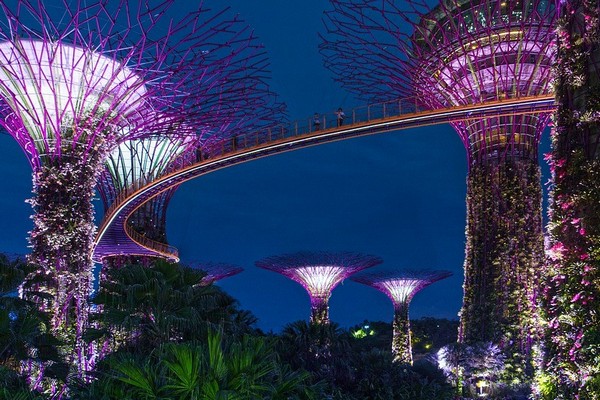 В Сингапуре с 1 июля откроют наиболее популярные достопримечательности