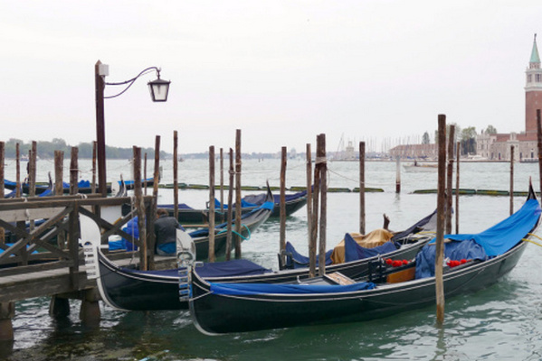 Венецианские гондольеры будут брать на борт меньше туристов, поскольку те «поправились»