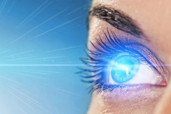Глаза – как это работает? – анатомия и физиология органов зрения