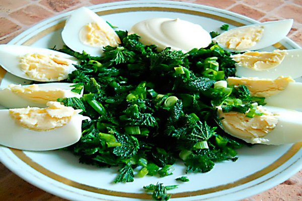 Салат из крапивы с яйцом