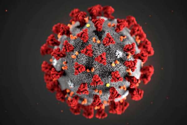 Итальянский вирусолог спрогнозировал пик распространения коронавируса