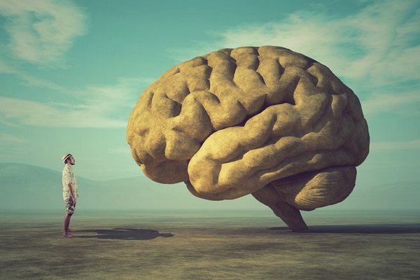Кто главнее – вы или ваш мозг?
