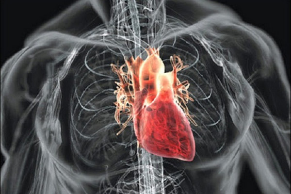 Как лечить стенозы сердечных сосудов