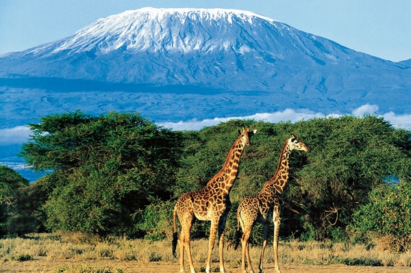 Туризм и сафари в Танзании