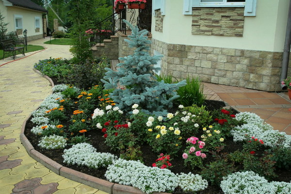 Растения для цветника, расположенного с восточной или западной стороны дома