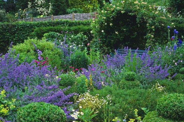 Сад, выдержанный в голубых, синих, бледно-лиловых и фиолетовых тонах