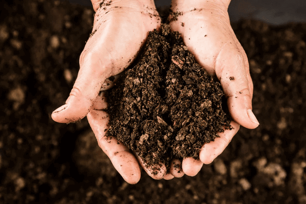 Какими свойствами характеризуются почвы разного механического состава?